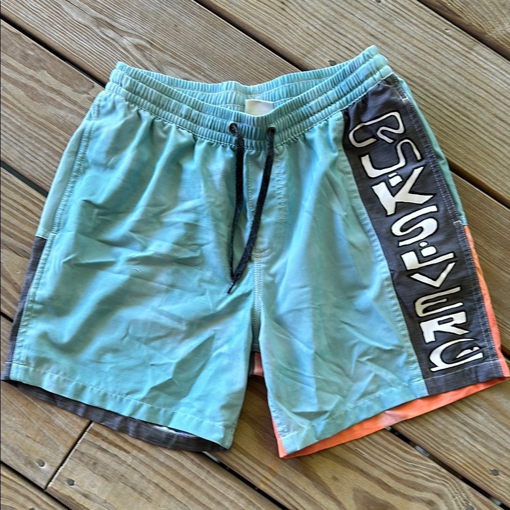 Quiksilver Men's Swim Shorts